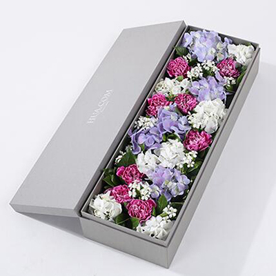 紫色白邊康乃馨8枝、白繡球1枝、藍(lán)紫色繡球1枝